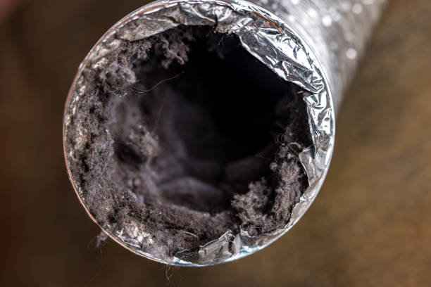 Best Affordable Duct Cleaning Services  in Sonoma, CA